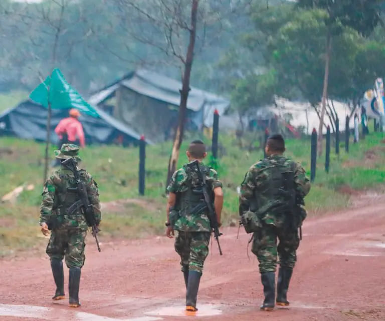 Cerca De 500 Familias Confinadas En La Vereda Palmeiras De San José Del Fragua Caquetá 4323