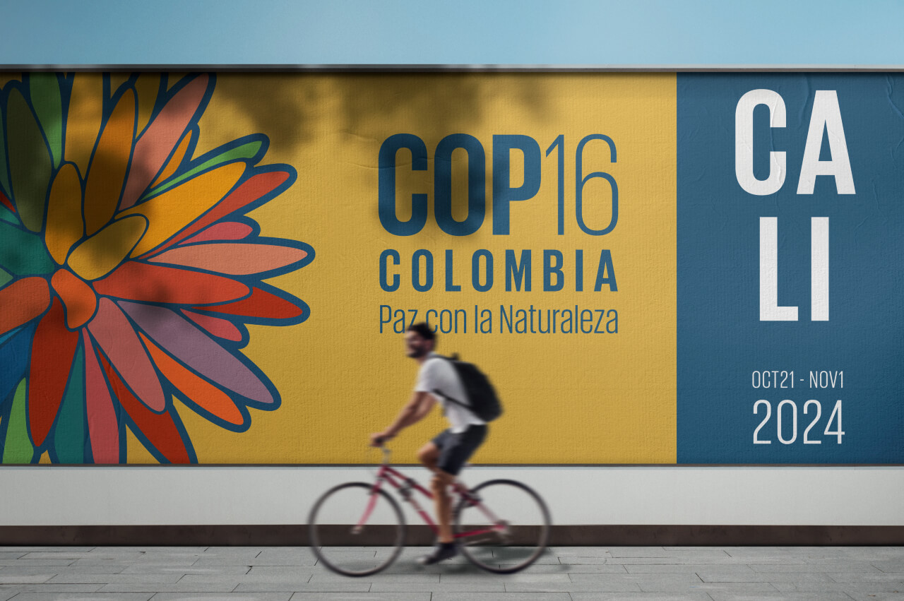 Colombia Se Prepara Para La COP16: Todo Listo Para El Evento De ...