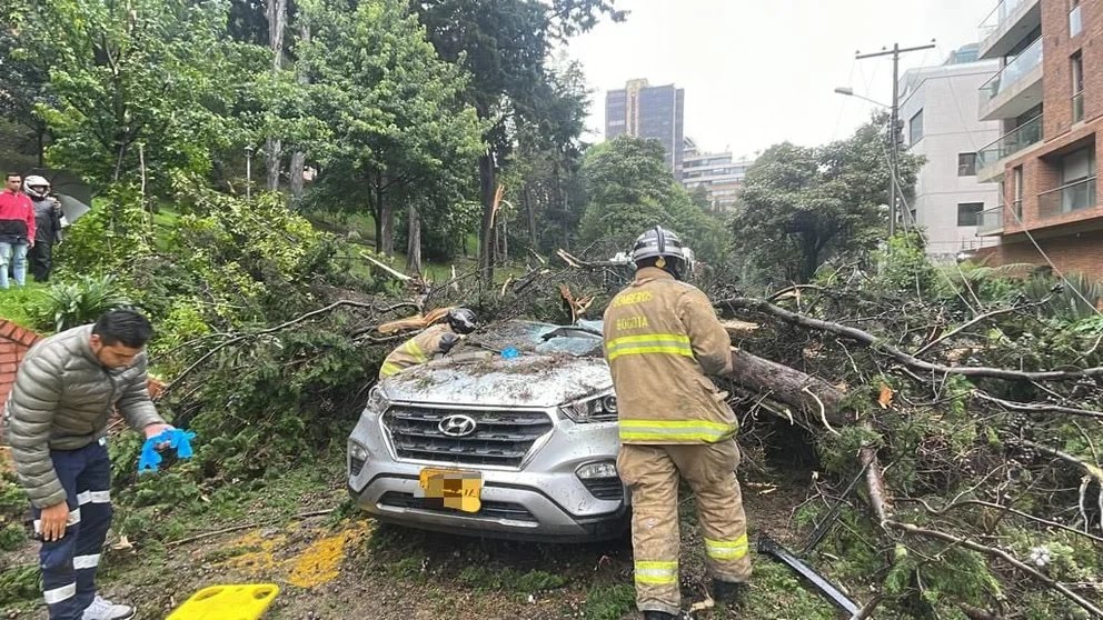 Accidente ocasionado por la caída de un árbol en Chapinero / Secretaría de Ambiente de Bogotá