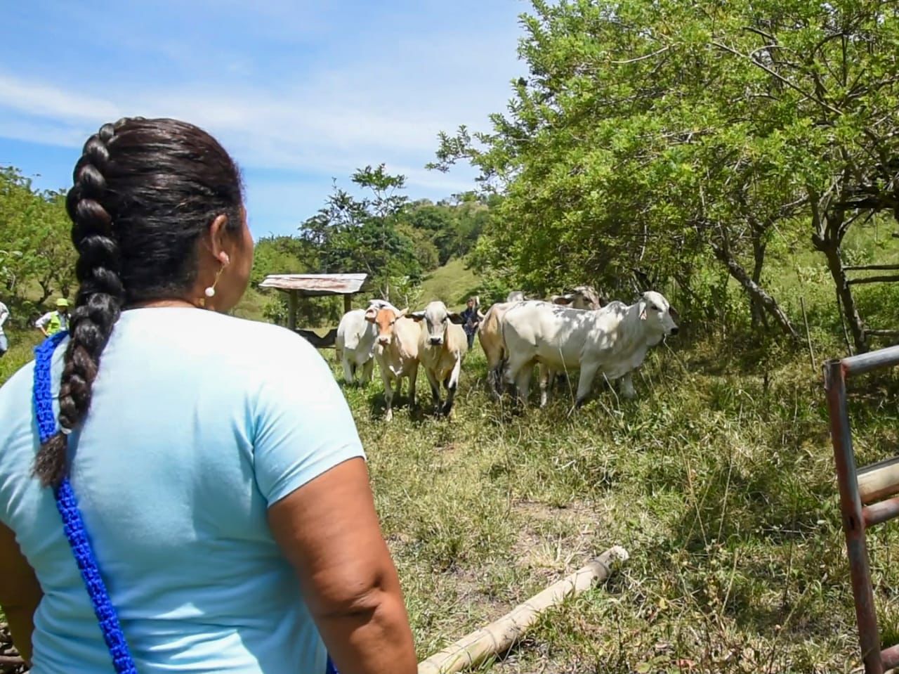 Celebración Día del Campesino - Banco Agrario