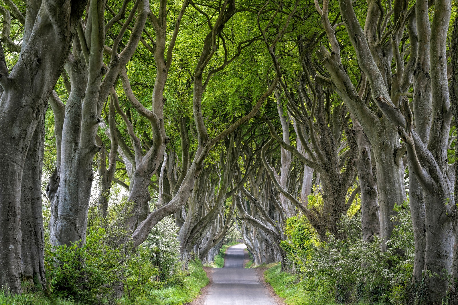 Ballymoney, Irlanda del Norte / Foto: RelaxFoto.de / Getty Images.