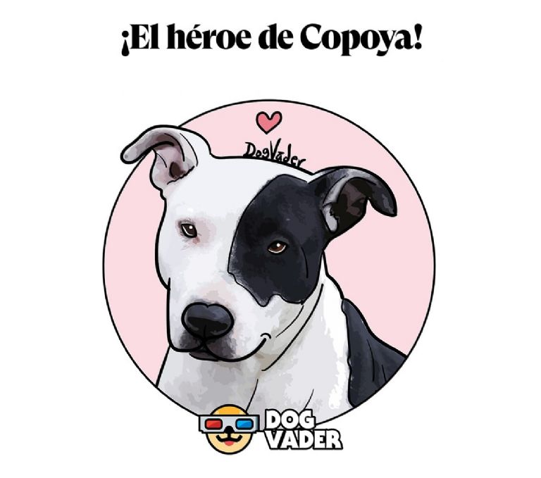 Héroe de Copoya