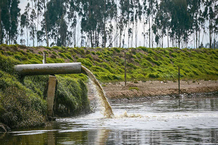 Avances de la descontaminación del río Bogotá/ Red de Desarrollo Sostenible de Colombia