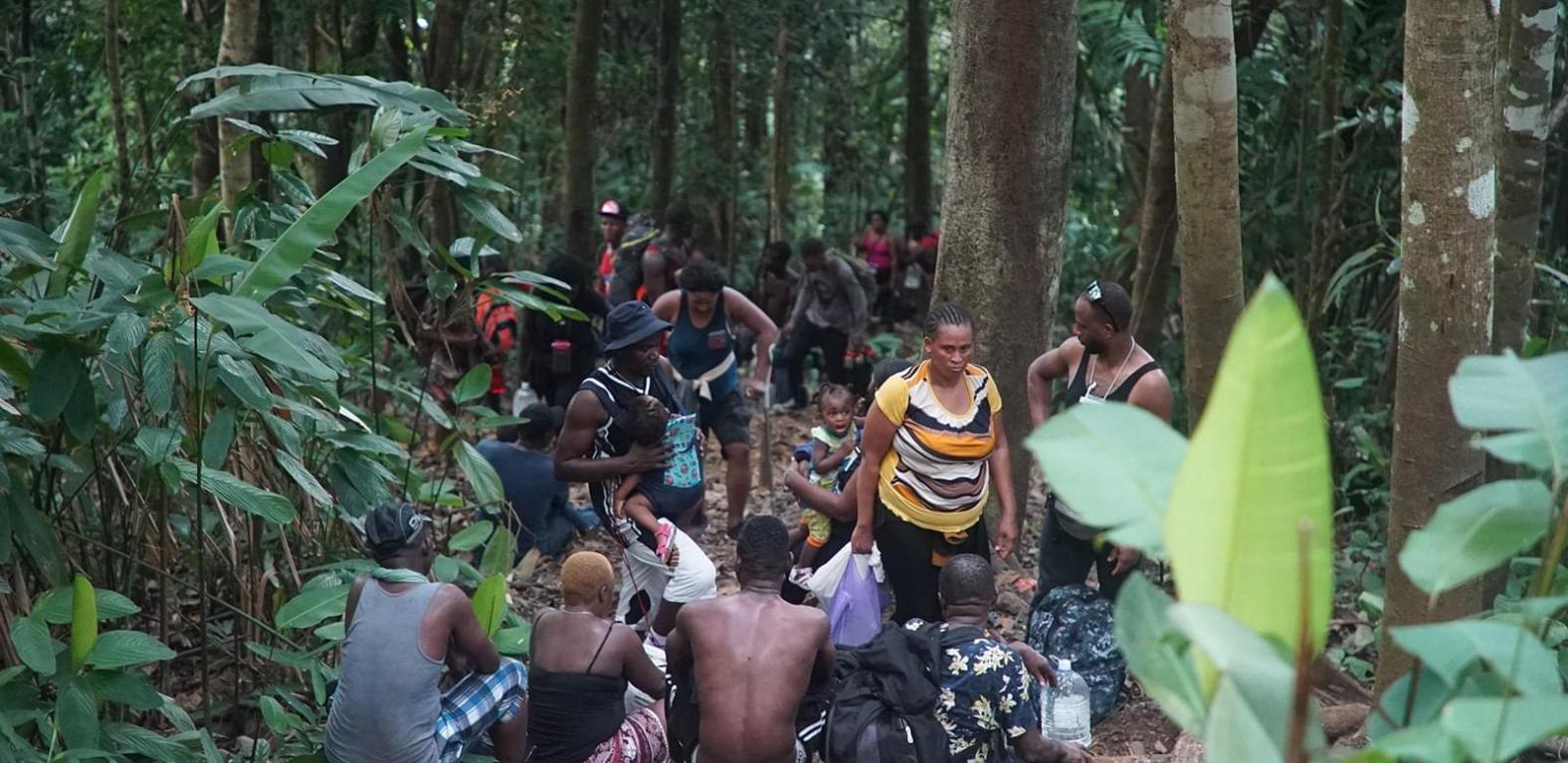 Tráfico de migrantes por la selva colombiana Tráfico de migrantes por la selva colombiana