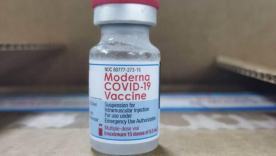 Moderna vacuna niños 