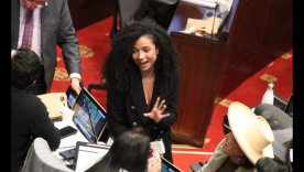 Juliana Guerrero vice