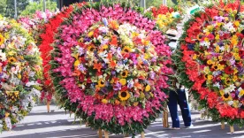 Feria de las flores 2021, desfile de silleteros