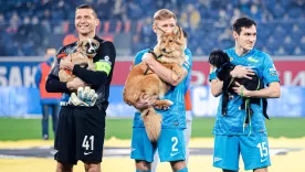 Jugadores del Zenit de Rusia incentivan la adopción de perros