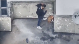 Denuncian golpiza a perro en centro de Bogotá