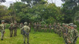 Campesinos impidieron erradicación de cultivos de coca en Suárez, Cauca