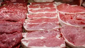 Procuraduría abre investigación por posible suministro de carne de caballo en raciones del PAE
