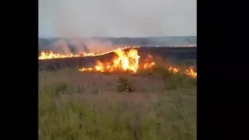 Incendio Llanos
