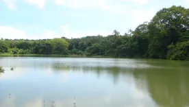 Laguna Big Pond