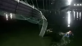 Colapso de puente 31