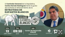 CONTRALOR RODRÍGUEZ ELEFANTES BLANCOS