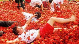Vuelve la Gran Tomatina Colombiana: 40 toneladas de tomates maduros protagonizan el evento
