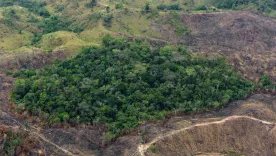 Deforestación Colombia