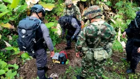 250 minas antipersonal en zona rural de Tumaco