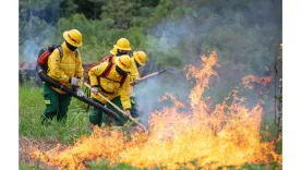 bomberos incendio forestal