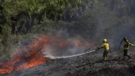 INCENDIO 17 SEPT