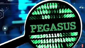 Caso pegasus