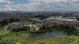 ordenamiento sabana 25