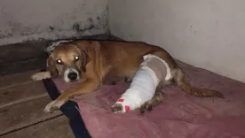 primera captura ley angel cundinamarca