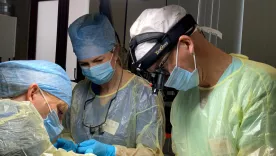 cirugias plásticas ppal