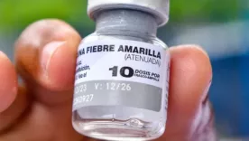 aumentan casos fiebre amarilla