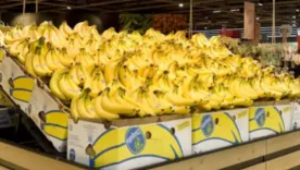 Chiquita Brand condena
