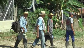 desplazados Antioquia