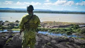 Fuerzas Militares 2025