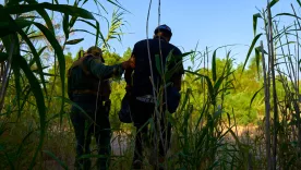 Las detenciones se mantienen en niveles históricamente bajos gracias a la labor constante de los agentes en la frontera.