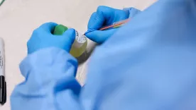 Examen toxicológico 