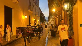 vehículos de tracción animal 25