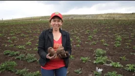 Banco Agrario de Colombia recibe premio del Pacto Global 