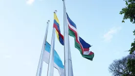 banderas valle del cauca