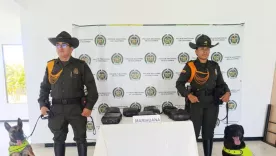 incautacion de marihuana en empresa de mensajería