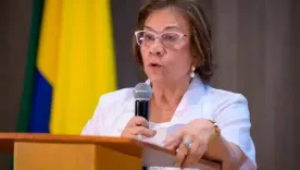Rosa Villavicencio Celac