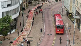 El Eje Ambiental se viste de miles de flores