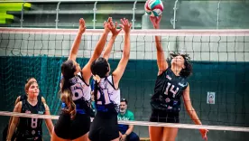Voleibol femenino