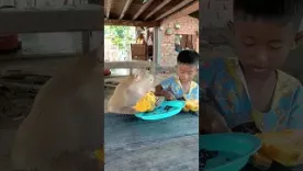 Video viral: mono y niño comiendo papaya