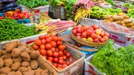 plaza de bazurto ilustrativa