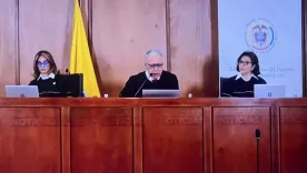 Sala de Decisión Penal del Tribunal Superior de Bogotá