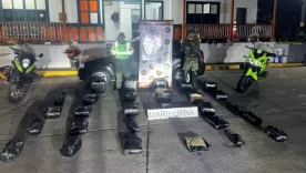 91 kilos de marihuana