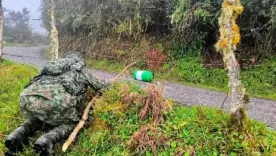 desplazamiento en briceño