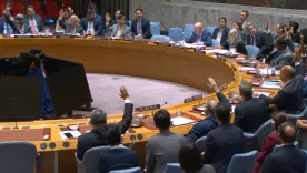 Consejo de Seguridad de la ONU 25