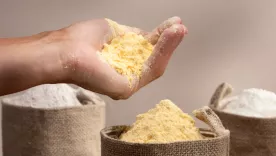 Harina de maíz amarillo