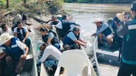  Epam y Aunap: el viaje de 200.700 alevinos de bocachico que conectó al Alto Magdalena con los ríos de Cornare