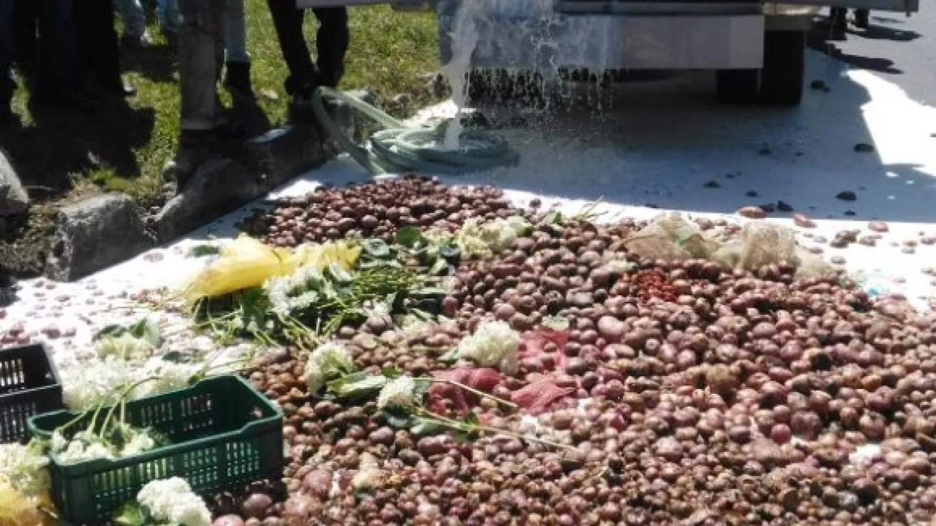 Alimentos paro nacional